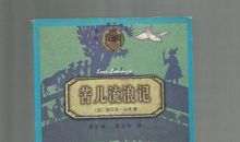 苦儿流浪记好词好句