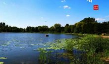 秋天的思念不过是一场梦