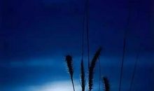 心要简单，人要“糊涂”