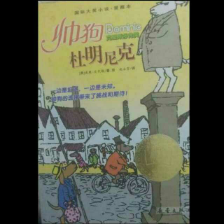 帅狗多米尼克的想法