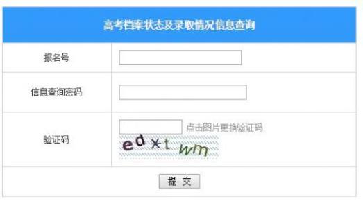 如何查看考生档案的运行状态