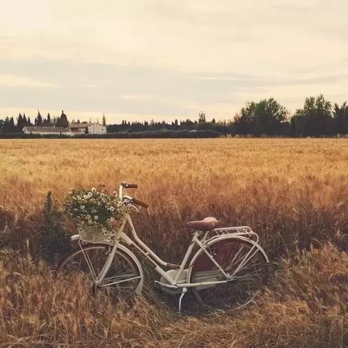 经典语录：只有一个人叫宁雀乌兰