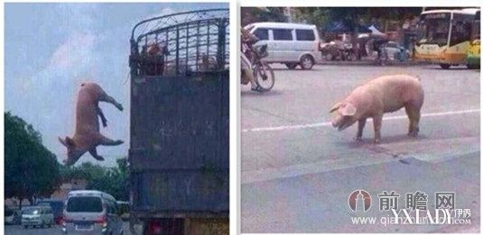 如果你没有自由,请用一句话将我杀死