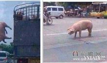 不自由，毋宁死造句