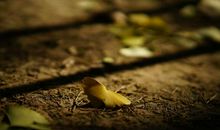 生一场病，你就懂了