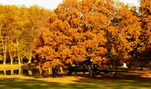 关于秋天的优美段落