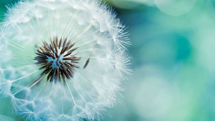 人会来,他们会离开,这个世界已经轮回