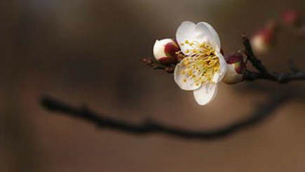 人会来,他们会离开,这个世界已经转世1