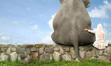 我们被这个世界改变了太多