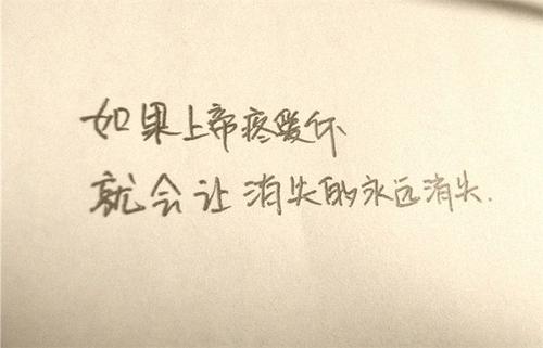 优美句子和优美段落的节选