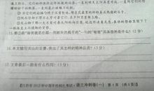 张抗抗：向日葵