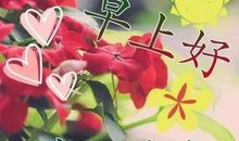 有关快乐的优美句子