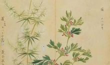 诙谐搞笑有趣的谚语