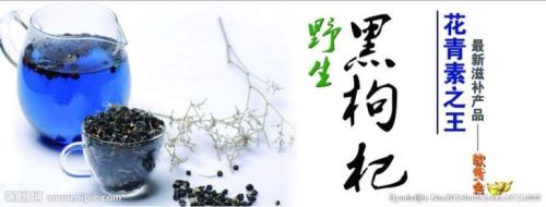黑枸杞口号