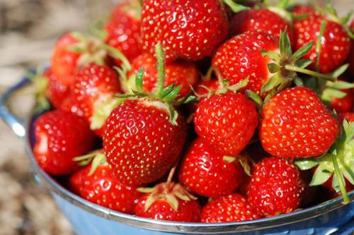 关于草莓的句子