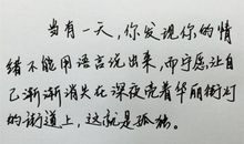 表白情书大全