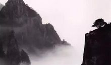 苏轼：鹧鸪天·林断山明竹隐墙