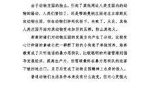 野草读后感1000字