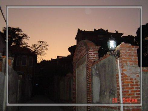 舒婷：古灵随想