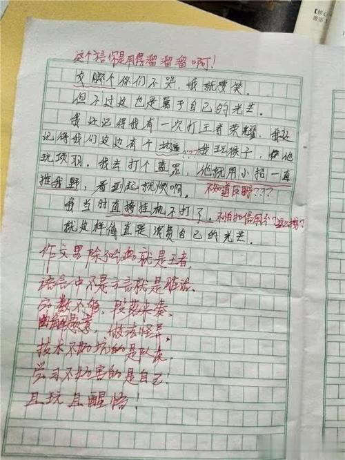 学生评估老师的评论