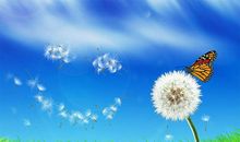 关于微笑的格言