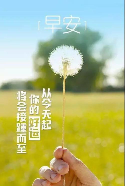 鼓舞人心的情感:如果您想成功,就必须击败另一个自我
