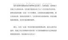 张抗抗：宝山宝水宝泉岭