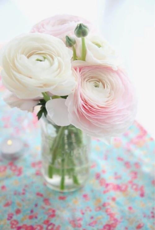 生活中有两件事：忙碌，清醒的工作；闲着，困惑