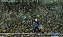 开讲啦郑渊洁演讲稿：我们最应该留住的是童心