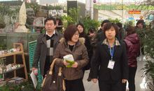 四创两争宣传标语