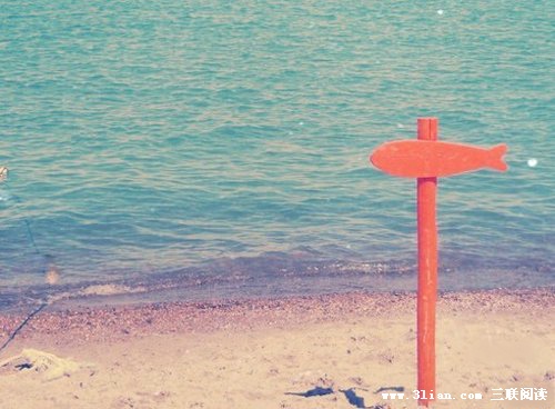 悲伤而凄凉的爱情宣言