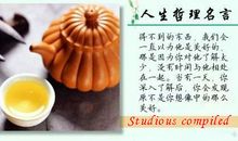 张闻天名言名句