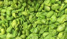 张抗抗：防风神茶