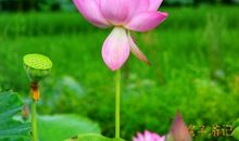 要么“惊艳”，要么经验