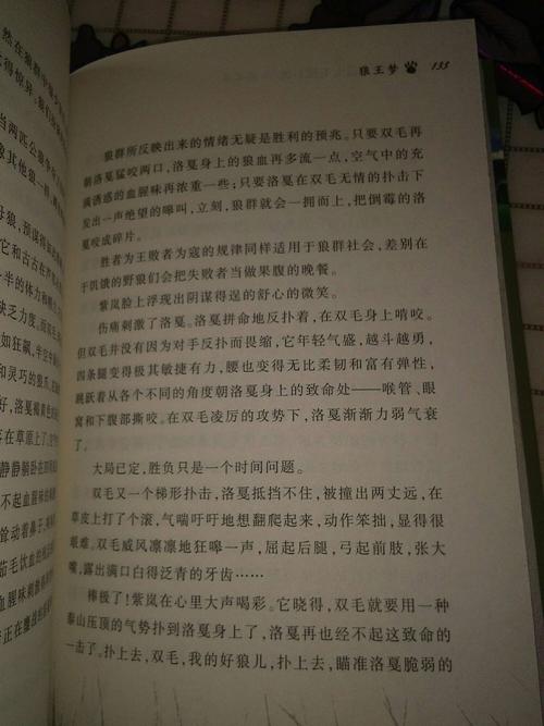 读《狼王的梦》 800字