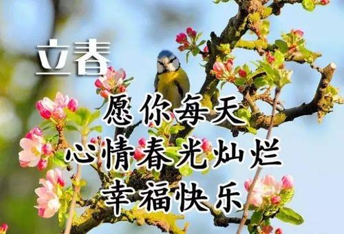 丽春祝福语