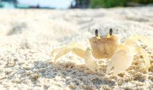 不要让生活被沙子填满