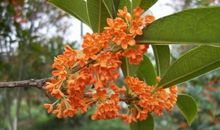 经典语录：爱从来不是清浅的，那里面有成全