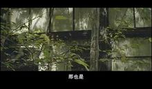 《澄沙之味》观后感