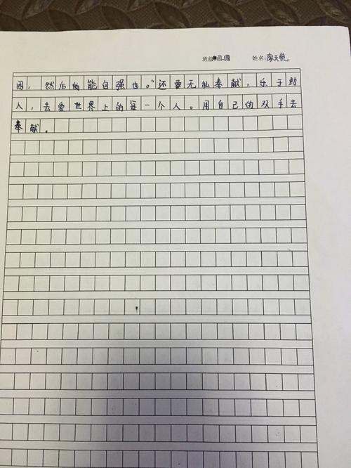 看完《狼王的梦》