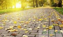 怀念过去时光的句子