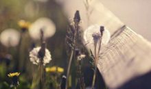 2016情人节最伤感的句子