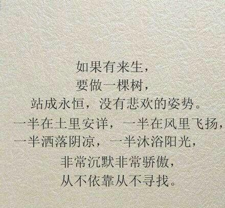 关于爱情的声明