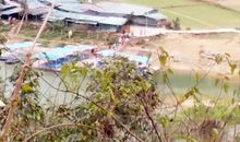 舒婷：珠贝——大海的眼泪