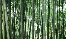 古训：中国人不可打破的8条天规，越早知道越好