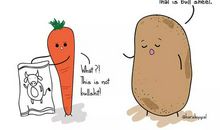 快乐就是每日有所得