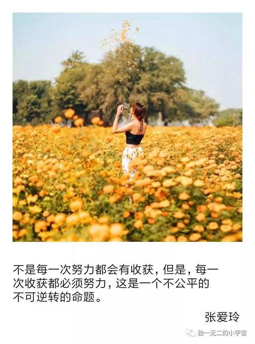 每一项努力都有隐藏的意义