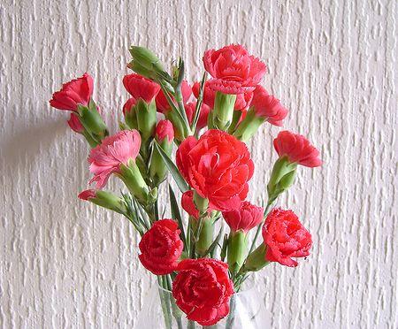 关于爱情的一段