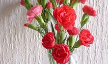 关于爱心的一段话