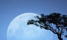 人生最大的财产